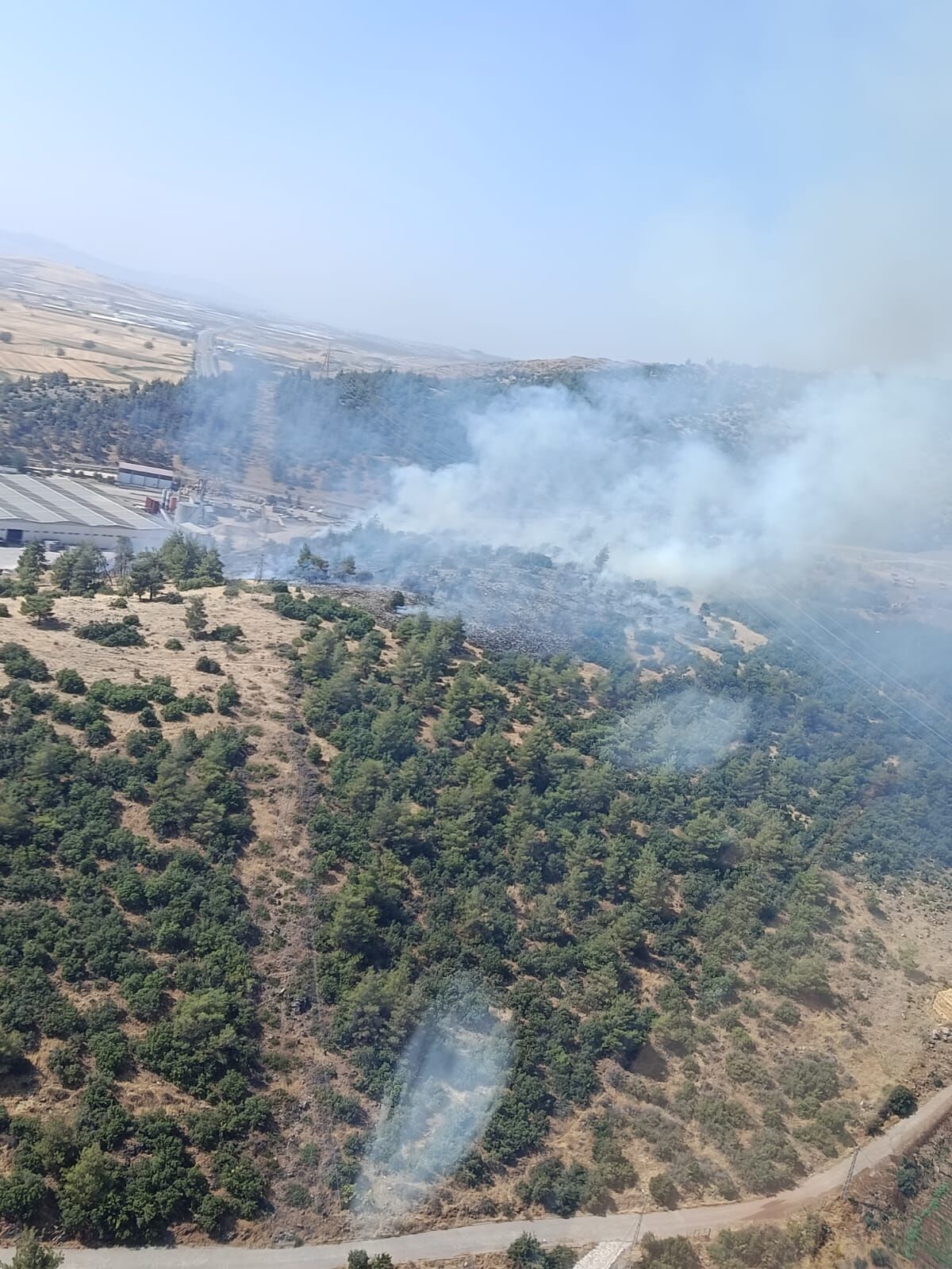 Kahramanmaraş'ta Orman Yangını (1)