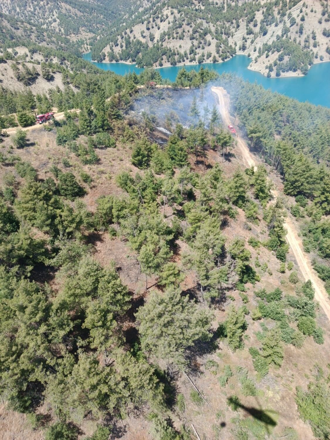 Kahramanmaraş'ta Orman Yangını Kontrol Altına Alındı (2)