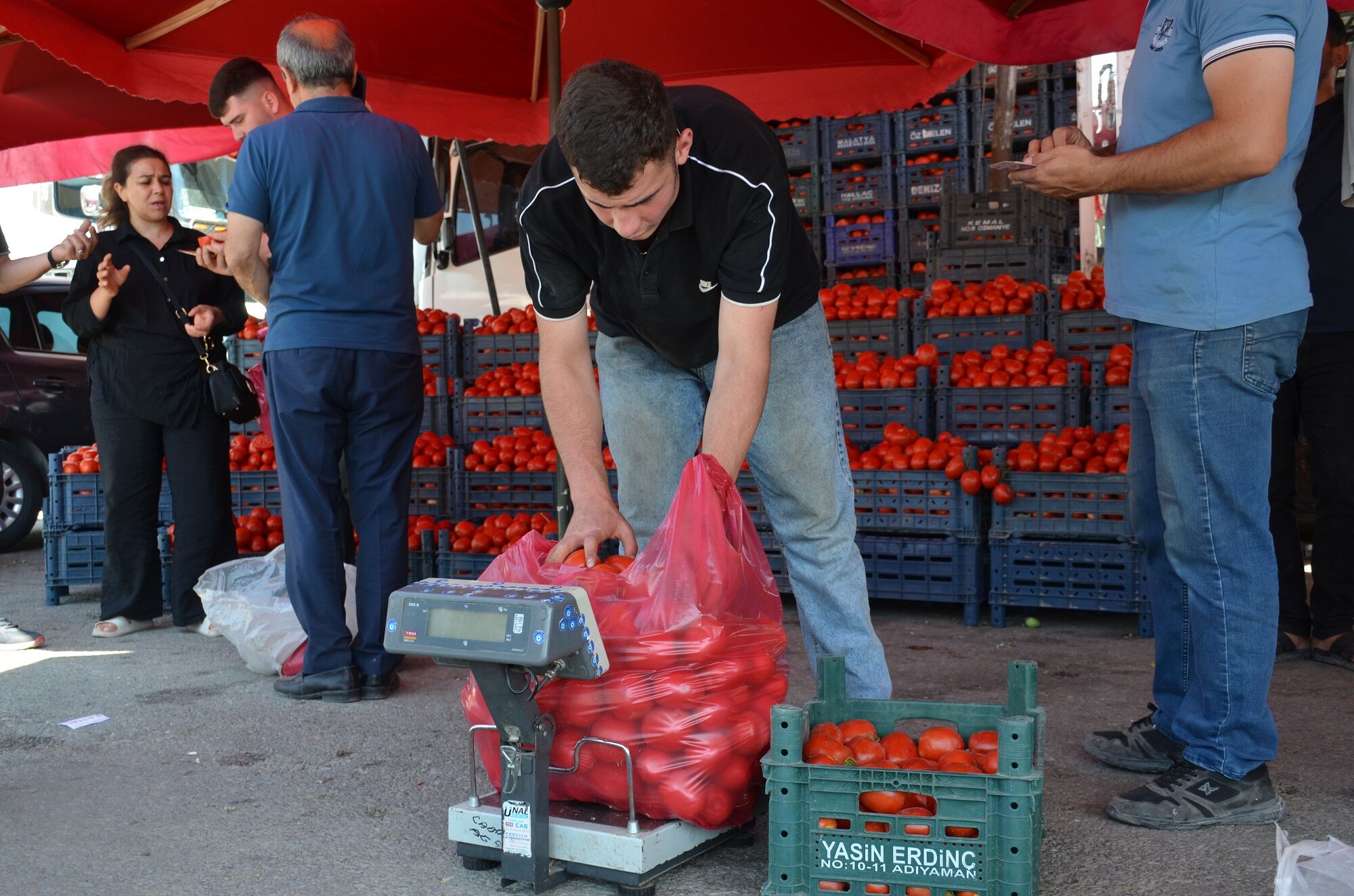 Afşin’de Kış Hazırlıkları Başladı! Salçalık Biber Ve Domates Tezgâhları Şenlendirdi (1)