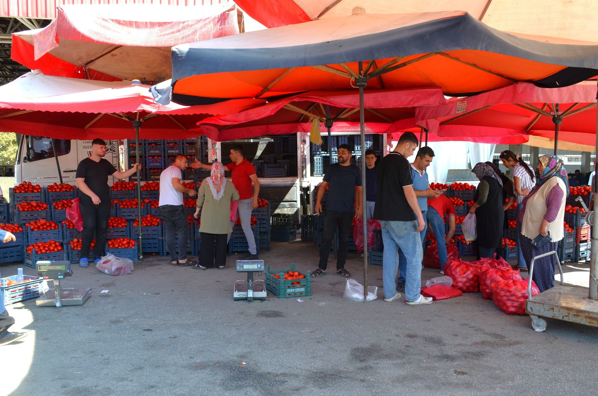 Afşin’de Kış Hazırlıkları Başladı! Salçalık Biber Ve Domates Tezgâhları Şenlendirdi (20)