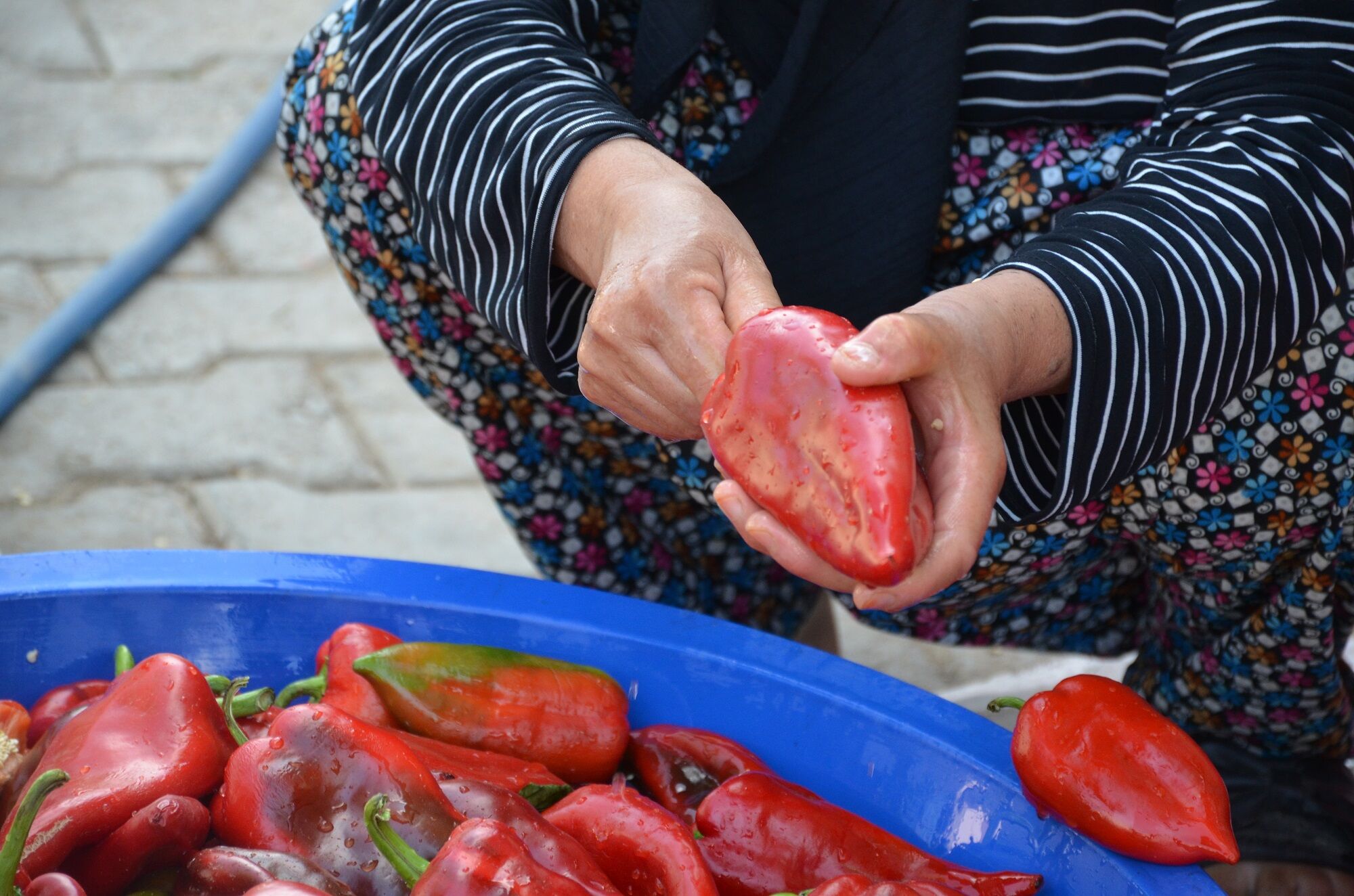 Afşin’de Kış Hazırlıkları Başladı! Salçalık Biber Ve Domates Tezgâhları Şenlendirdi (3)