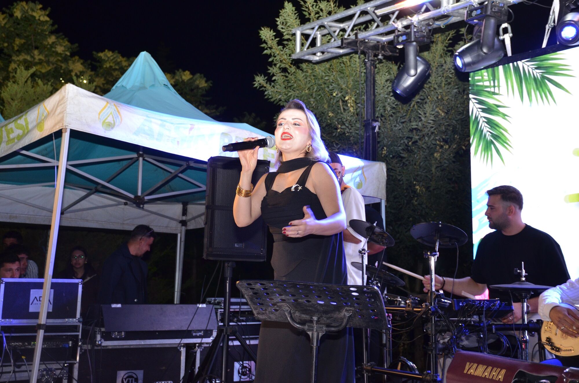 Afşin’de Zafer Bayramı’nın 104. Yılına Özel Konser Düzenlendi (5)