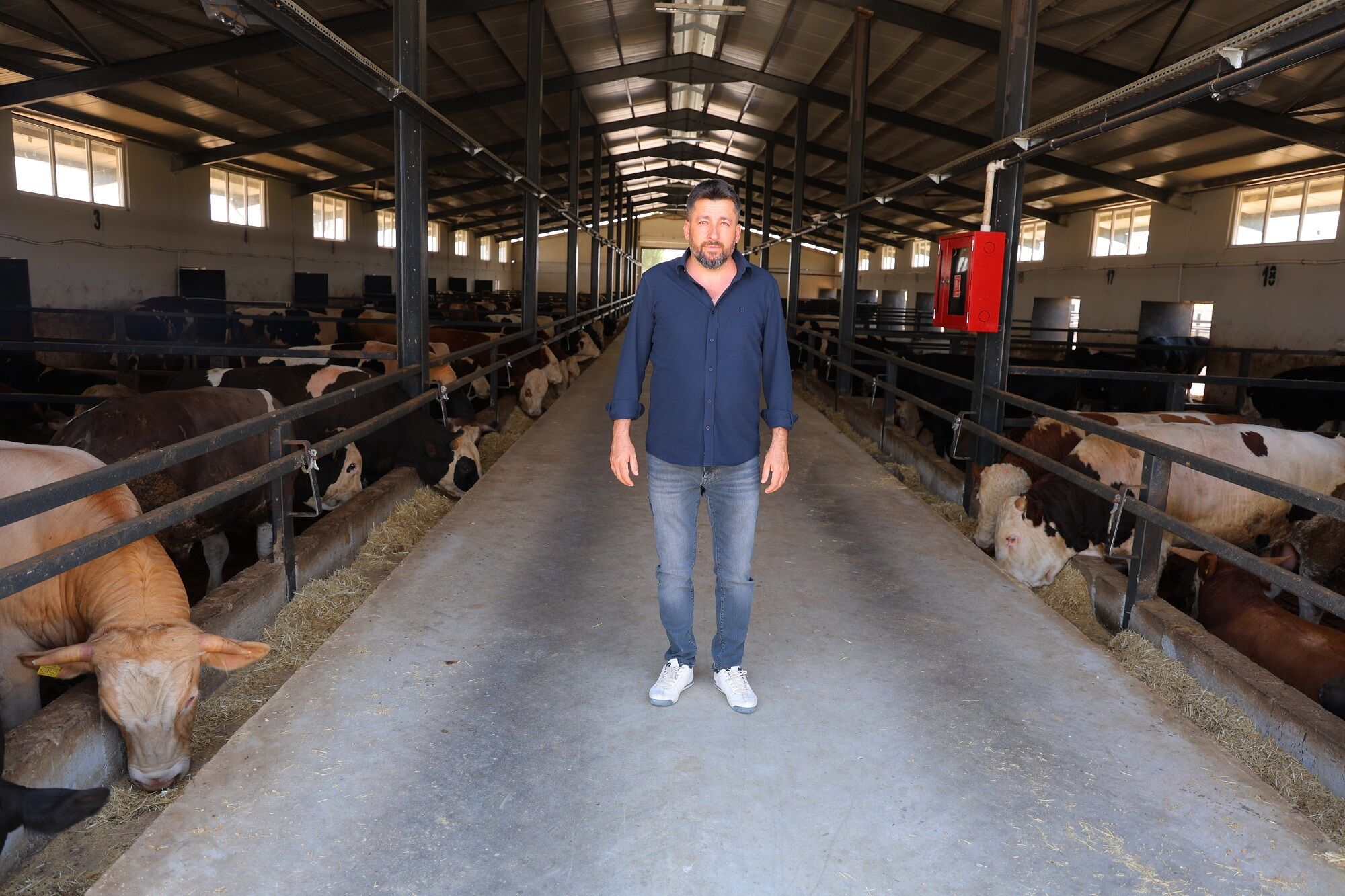 Elektrikçilikten Besiciliğe! 20 Milyon Tl Hibe Aldı, 200 Büyükbaş Yetiştiriyor (2)