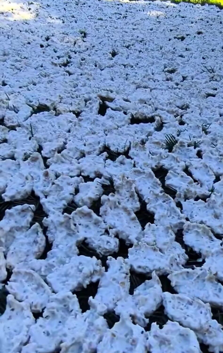 Yüzyıllık Tarhana Geleneği Yeniden Canlandı Çığşar’da İmece Usulü Hazırlık Başladı (2)
