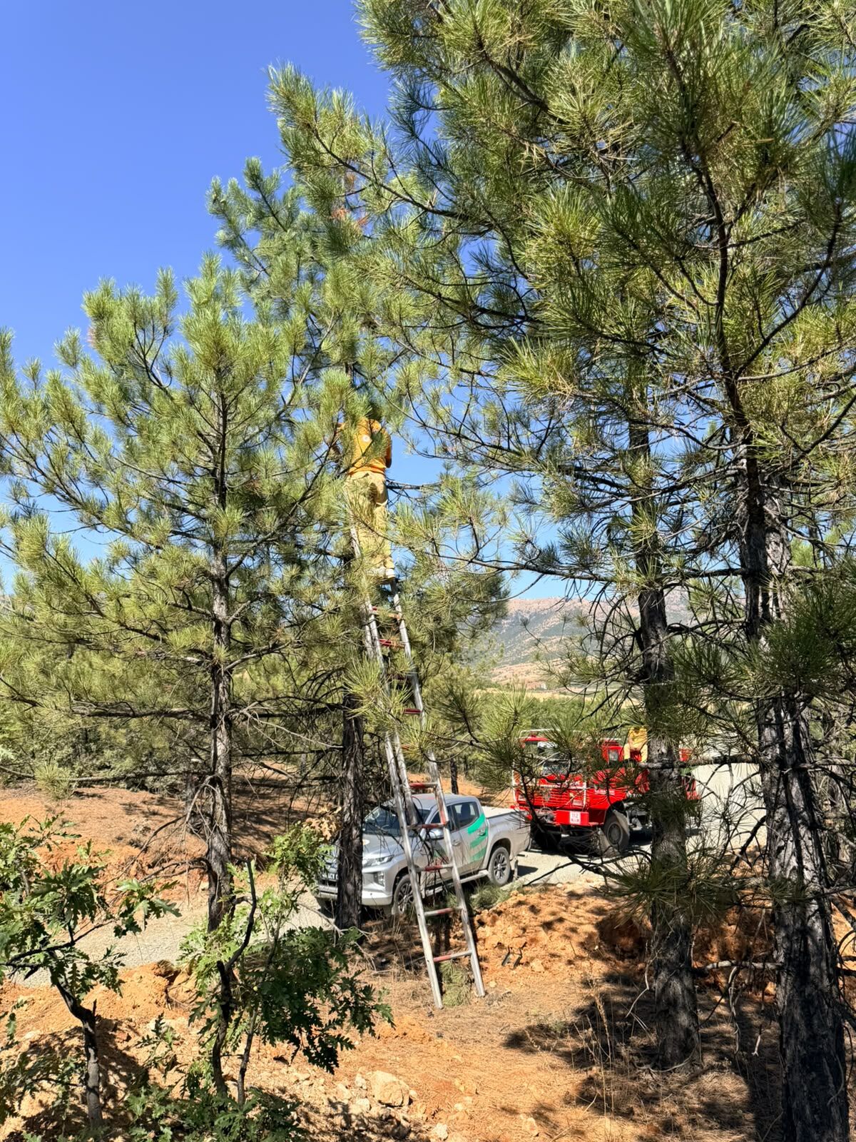 Afşin Ormanları Yapay Zeka Destekli Fotokapanlarla 724 İzleniyor (1)-1