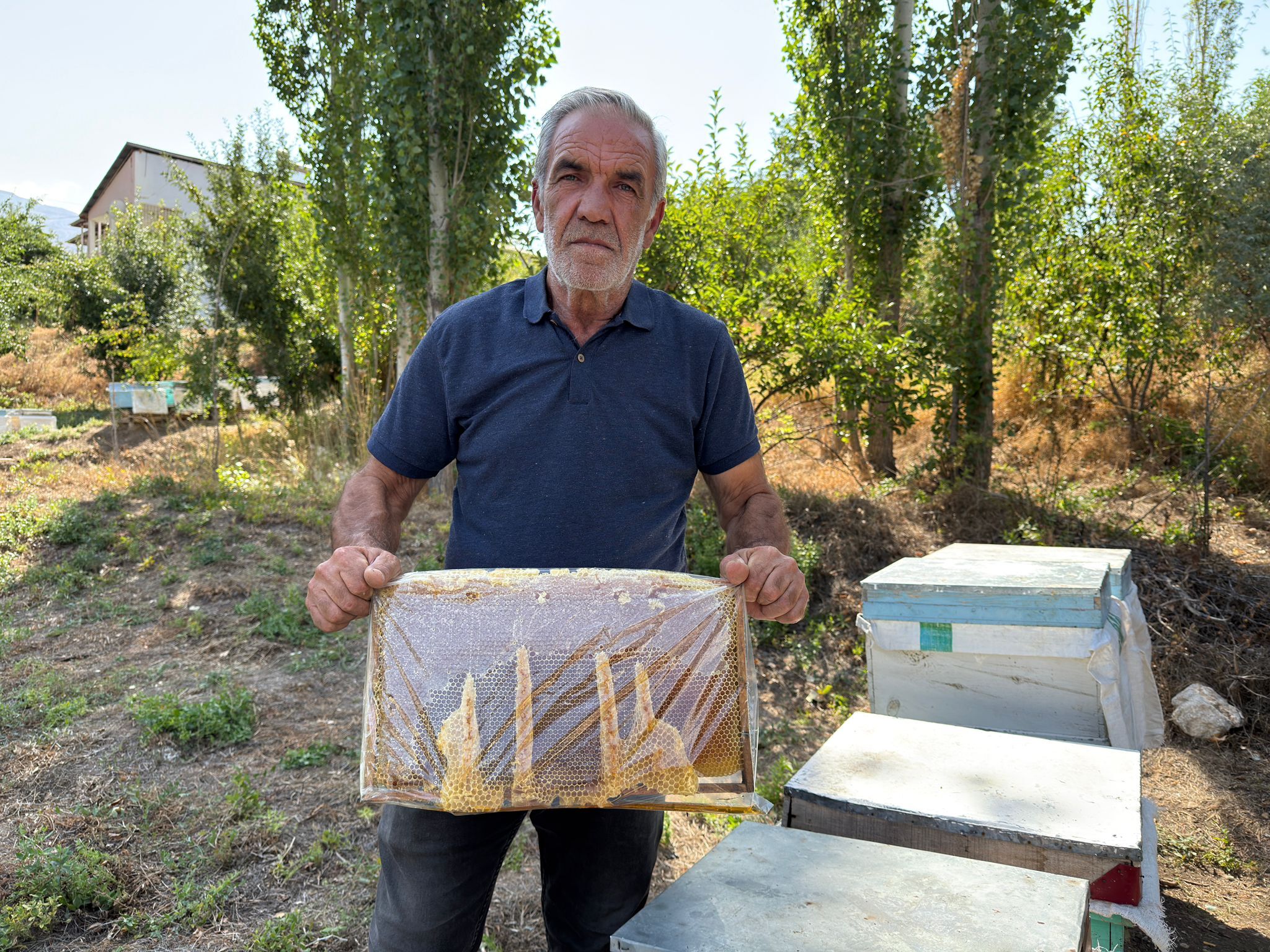 Arı Peteğinde Şaşırtan Görüntü! “Allah” Yazısını Andıran Şekil (6)