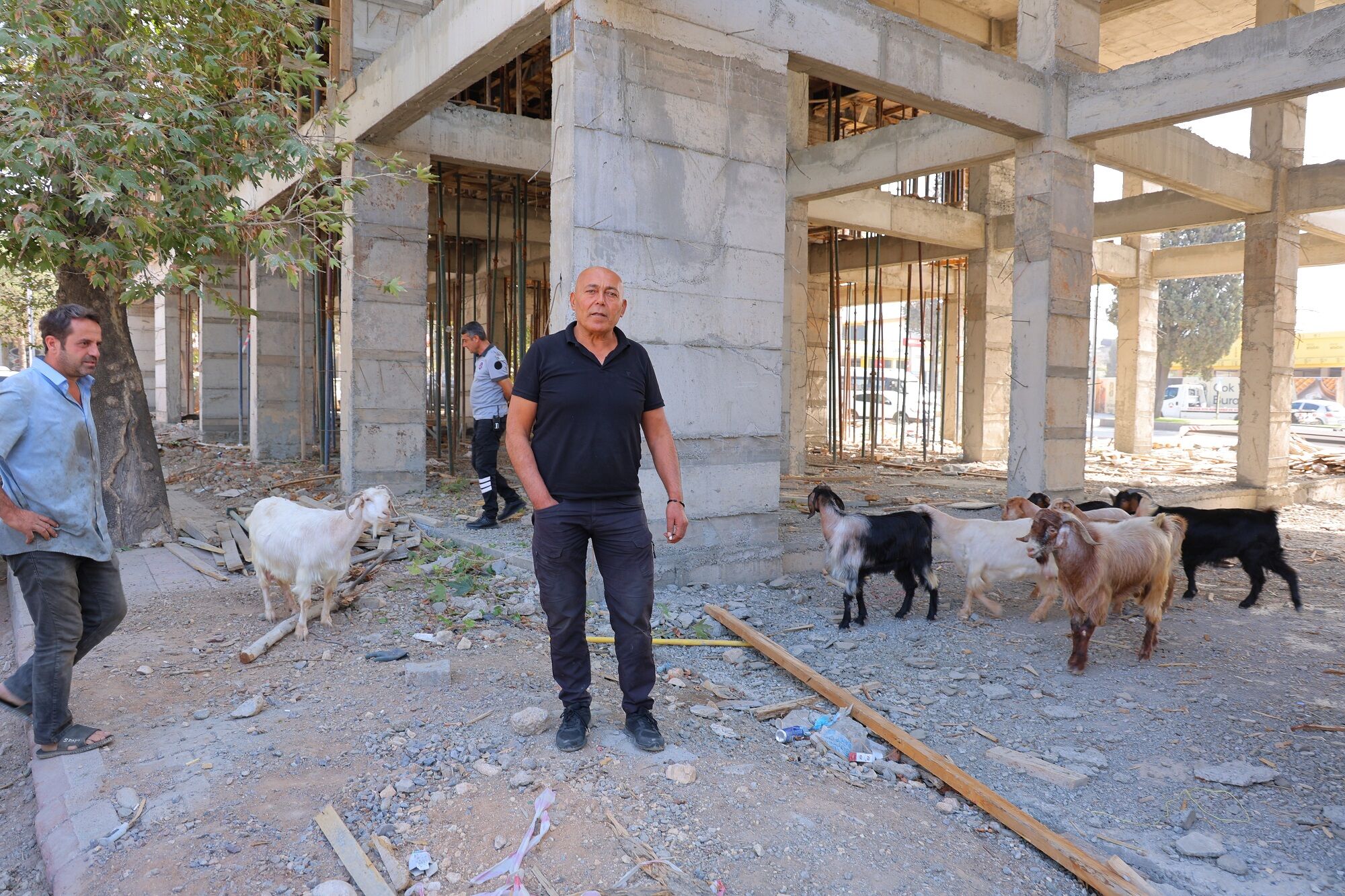 Başıboş Gezen 9 Keçinin Sahibi Aranıyor (2)