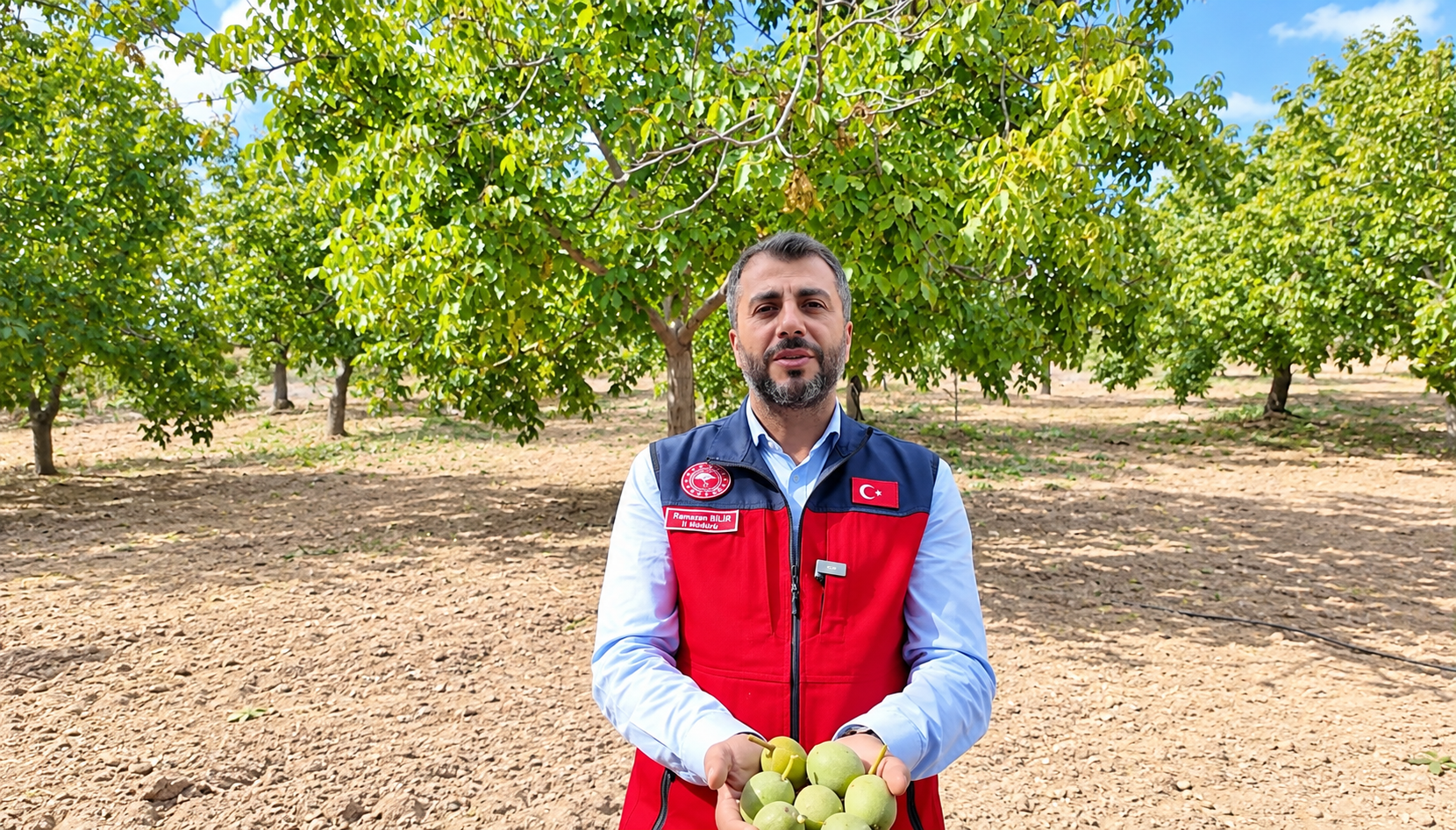 Çağlayancerit Cevizi’nde Hasat Başladı Üretici Geçen Yıla Göre İki Kat Verim Aldı (1)