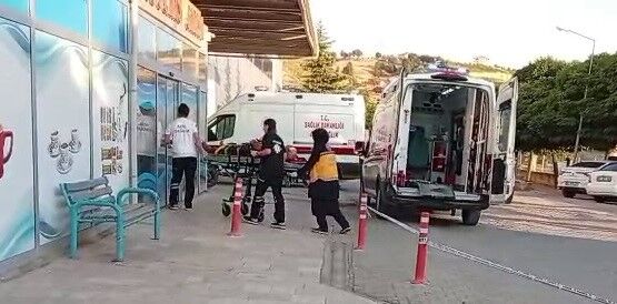 Ceviz Ağacından Düşen Adam Ağır Yaralandı (1)