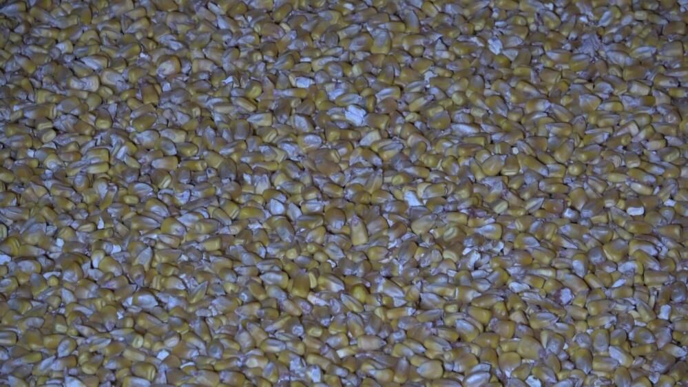 Kahramanmaraş’tan Yola Çıkan Tır Kaza Yaptı! 25 Ton Mısır Yola Saçıldı