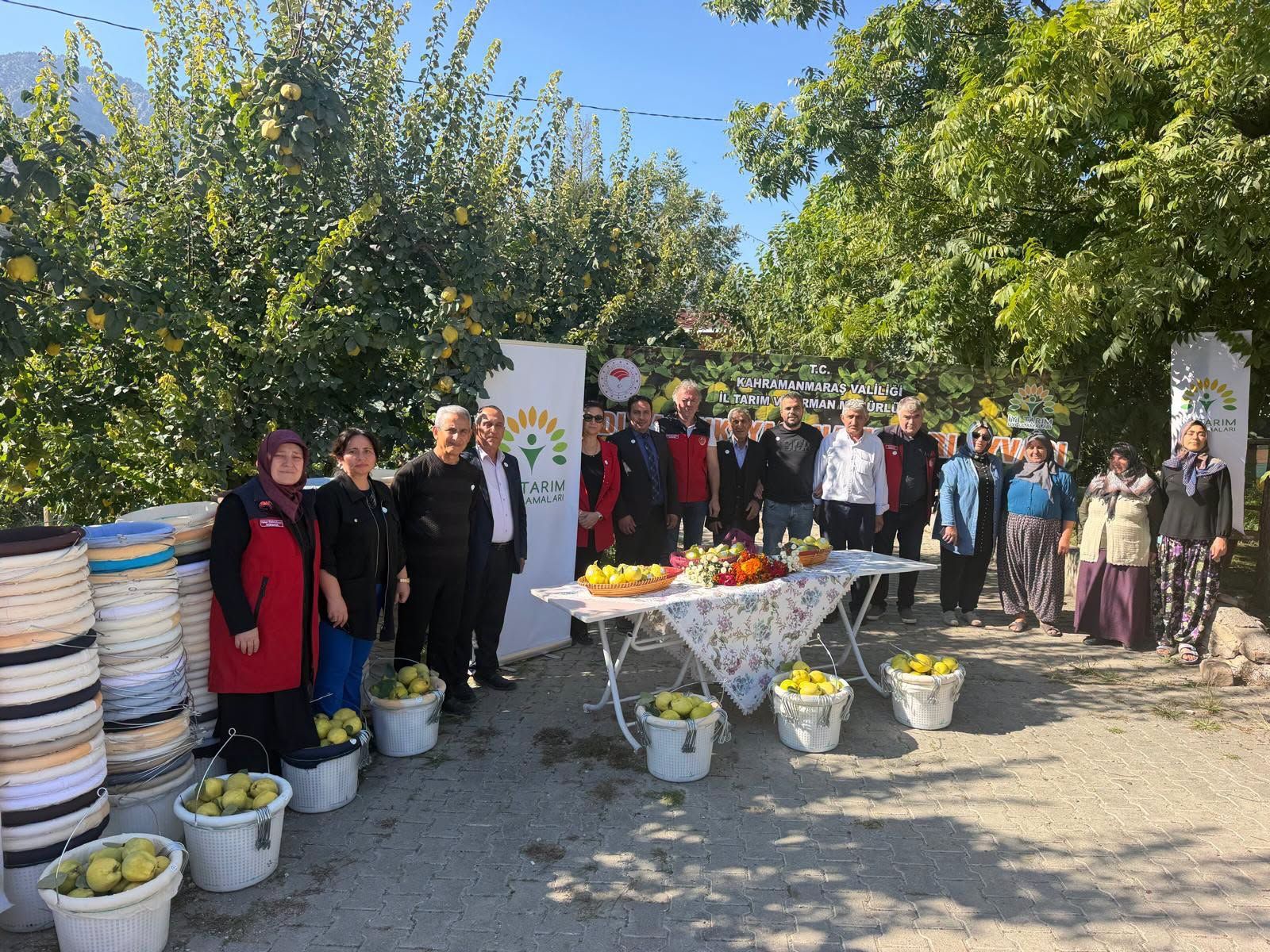 11 Ayva Üreticisine Hasat Desteği: 260 Ekipman Dağıtıldı
