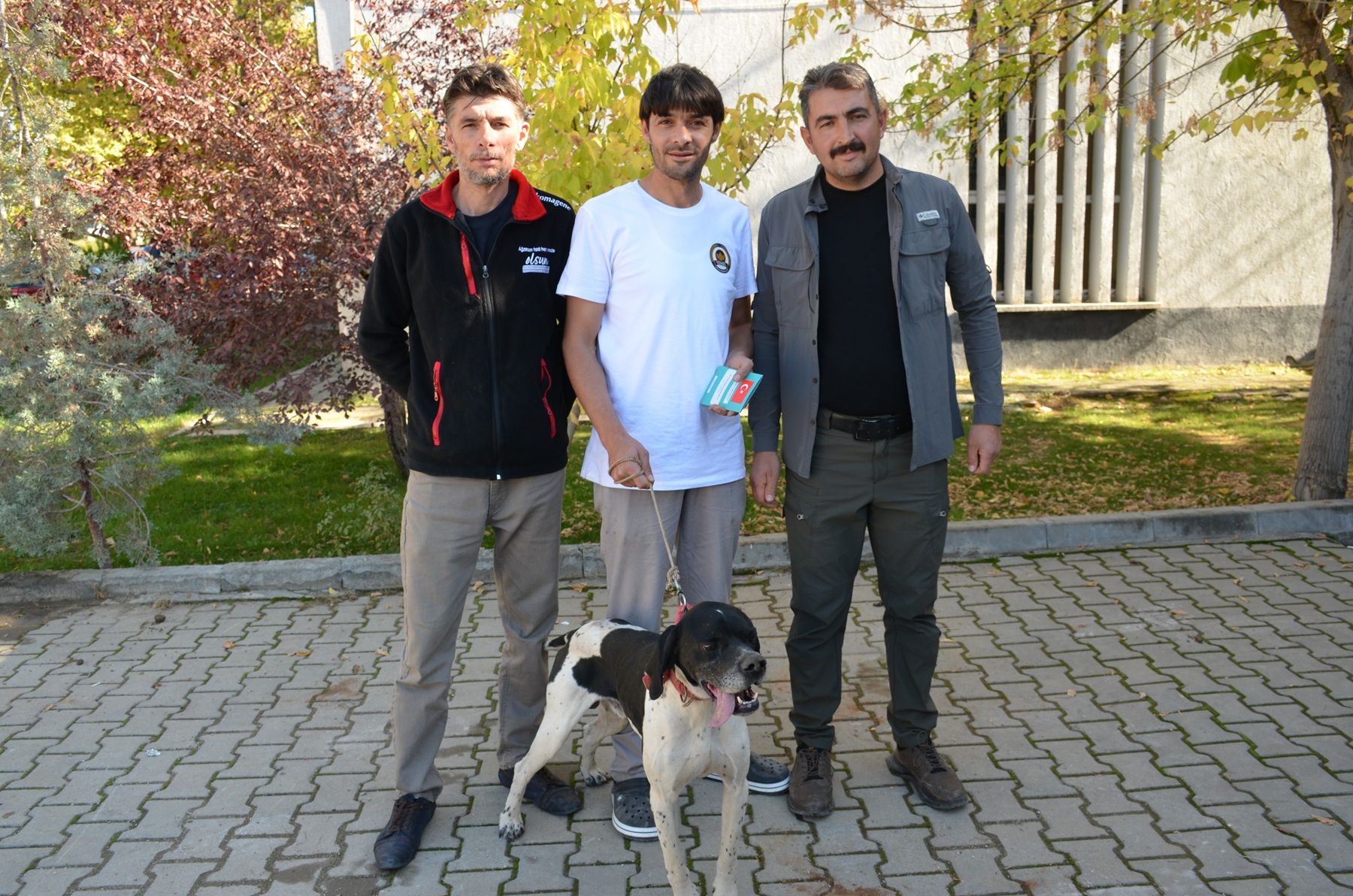 Afşin’de Kuduzla Mücadele Etkinliği Kedi Ve Köpeklere Aşı Yapıldı (1)-1
