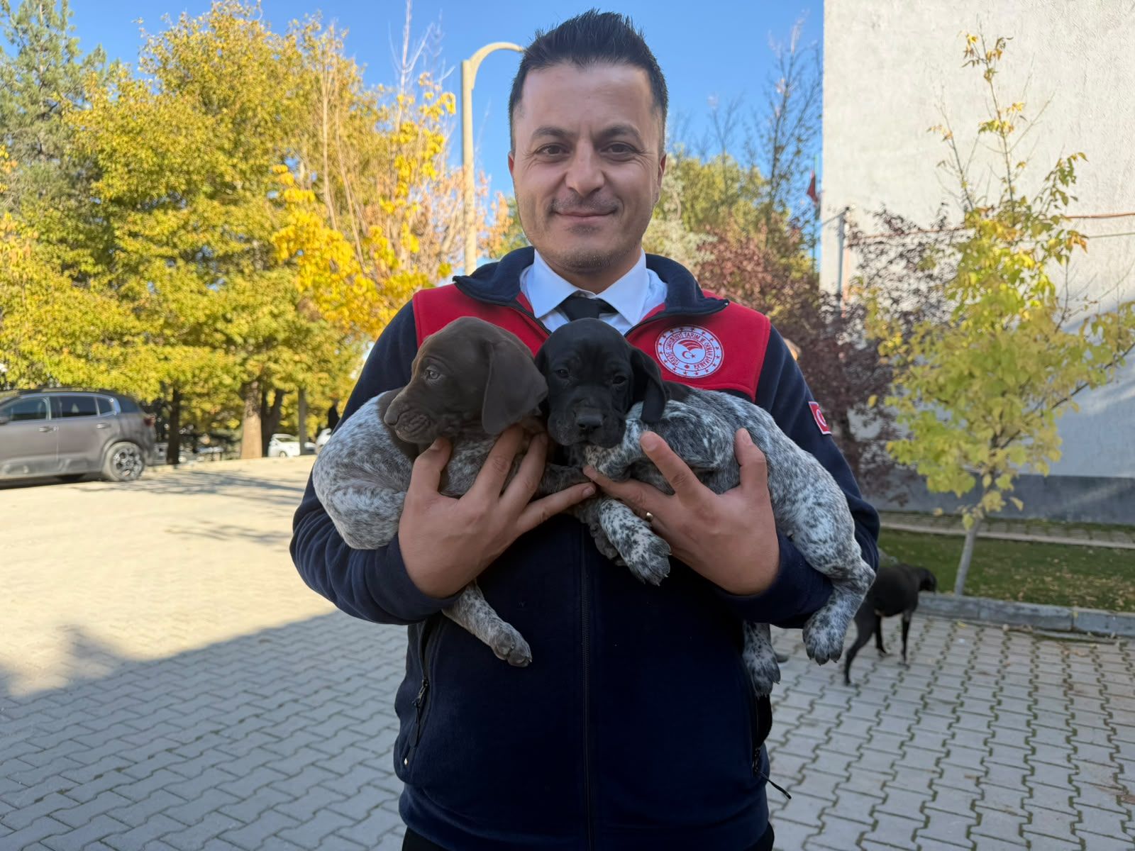 Afşin’de Kuduzla Mücadele Etkinliği Kedi Ve Köpeklere Aşı Yapıldı (1)