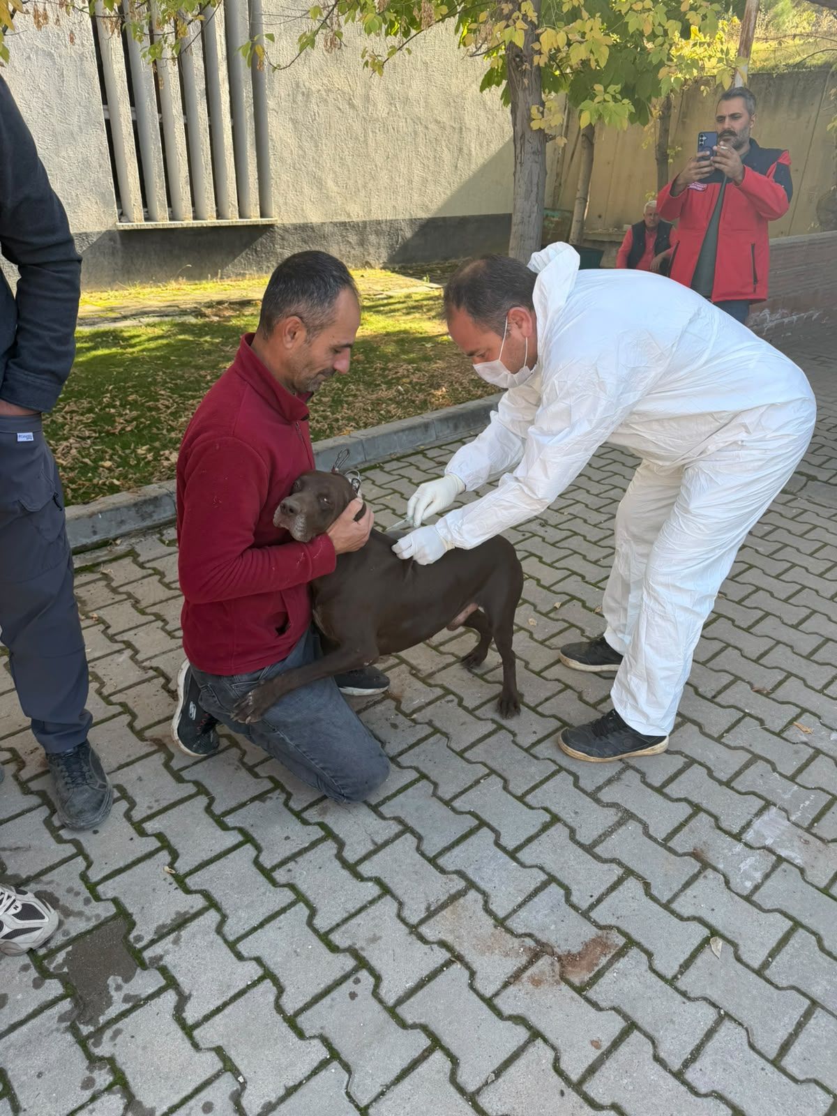 Afşin’de Kuduzla Mücadele Etkinliği Kedi Ve Köpeklere Aşı Yapıldı (2)