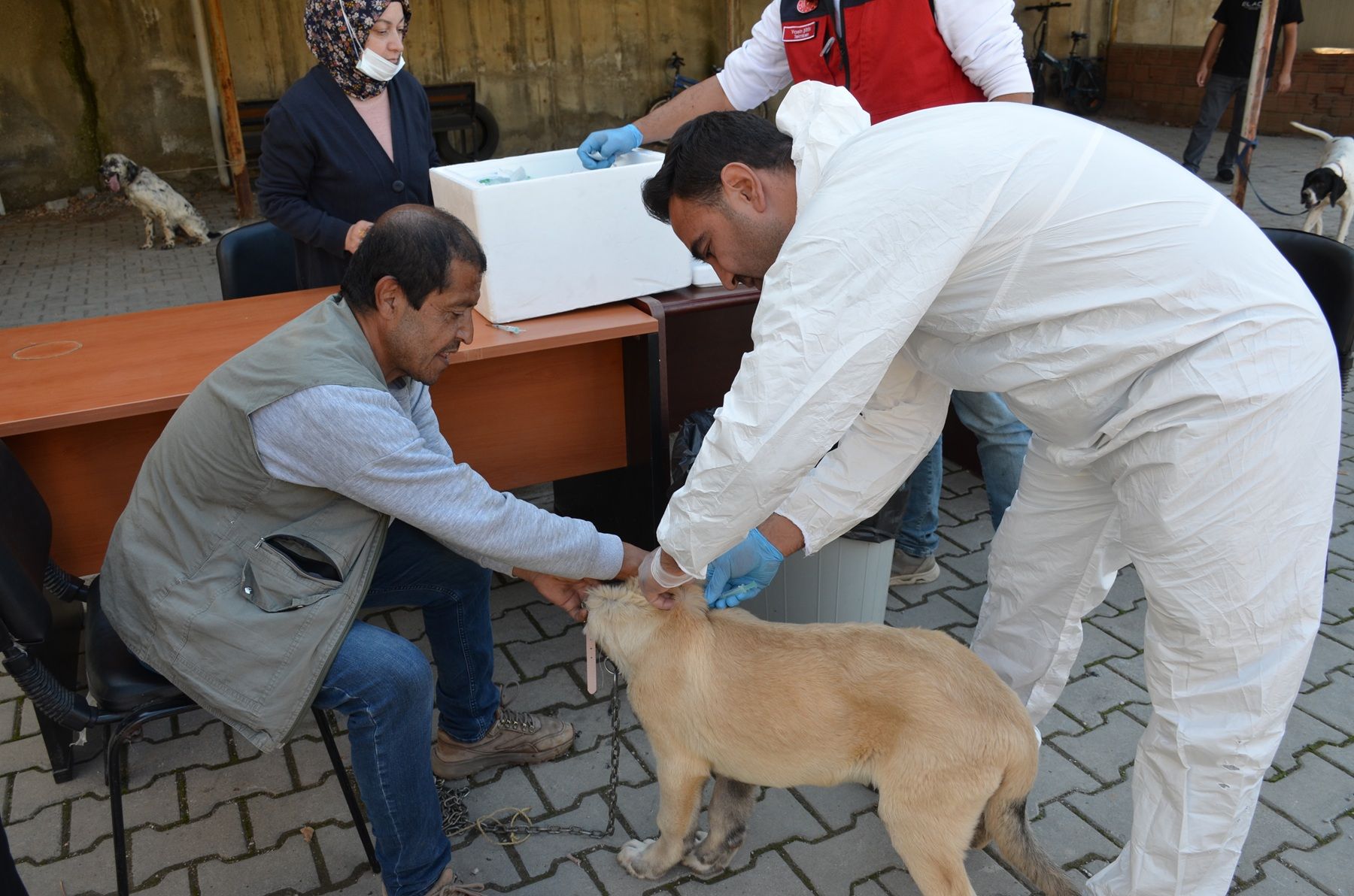 Afşin’de Kuduzla Mücadele Etkinliği Kedi Ve Köpeklere Aşı Yapıldı (4)