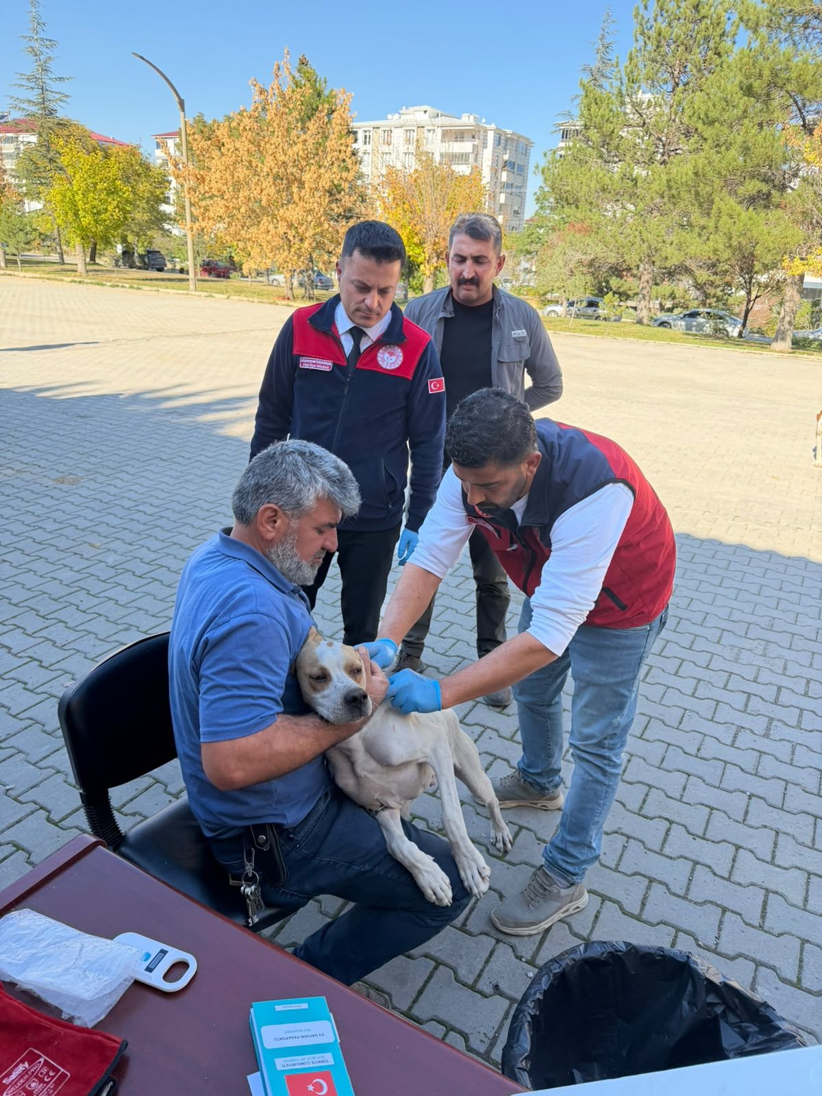Afşin’de Kuduzla Mücadele Etkinliği Kedi Ve Köpeklere Aşı Yapıldı (5)