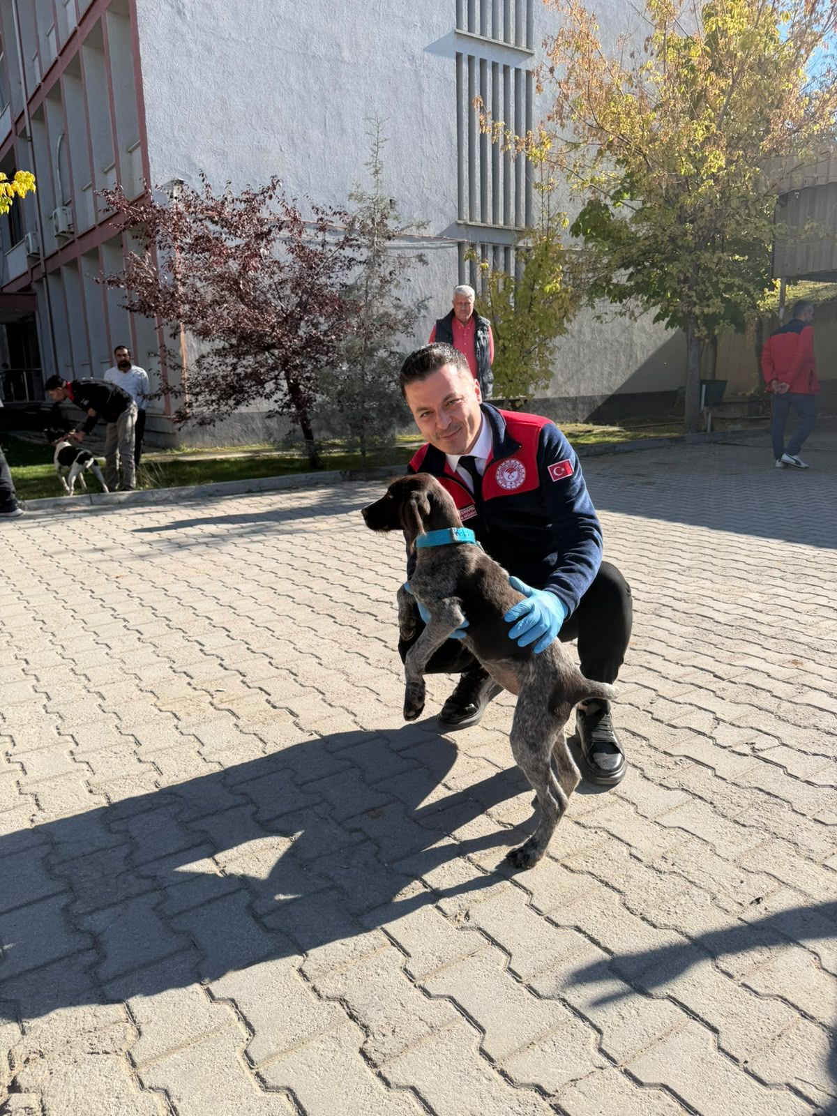 Afşin’de Kuduzla Mücadele Etkinliği Kedi Ve Köpeklere Aşı Yapıldı (6)