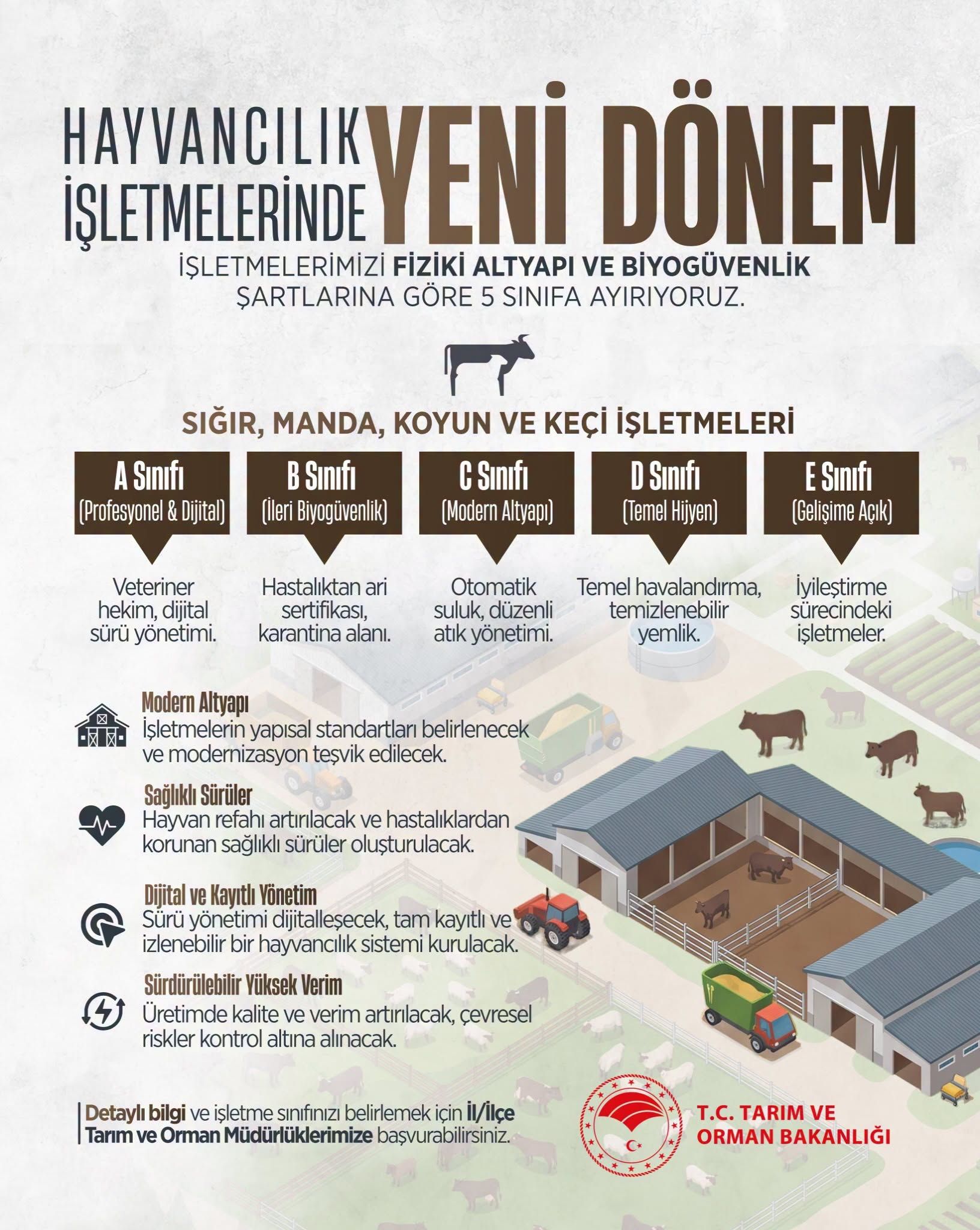 Hayvancılık İşletmelerinde Yeni Dönem 5 Sınıfa Ayrılacak