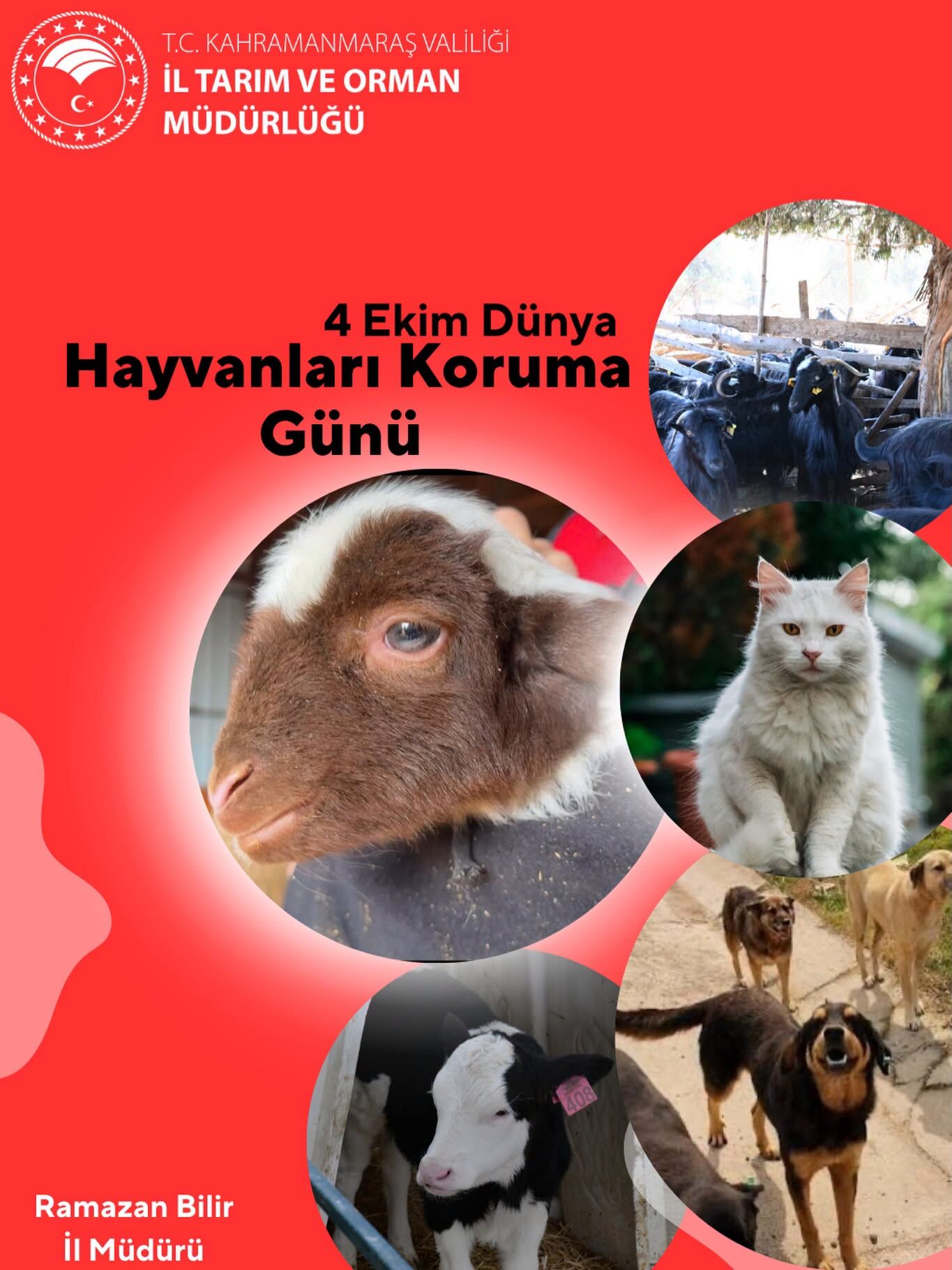 Kahramanmaraş İl Tarım Ve Orman Müdürlüğü'nden Hayvanları Koruma Günü Mesajı