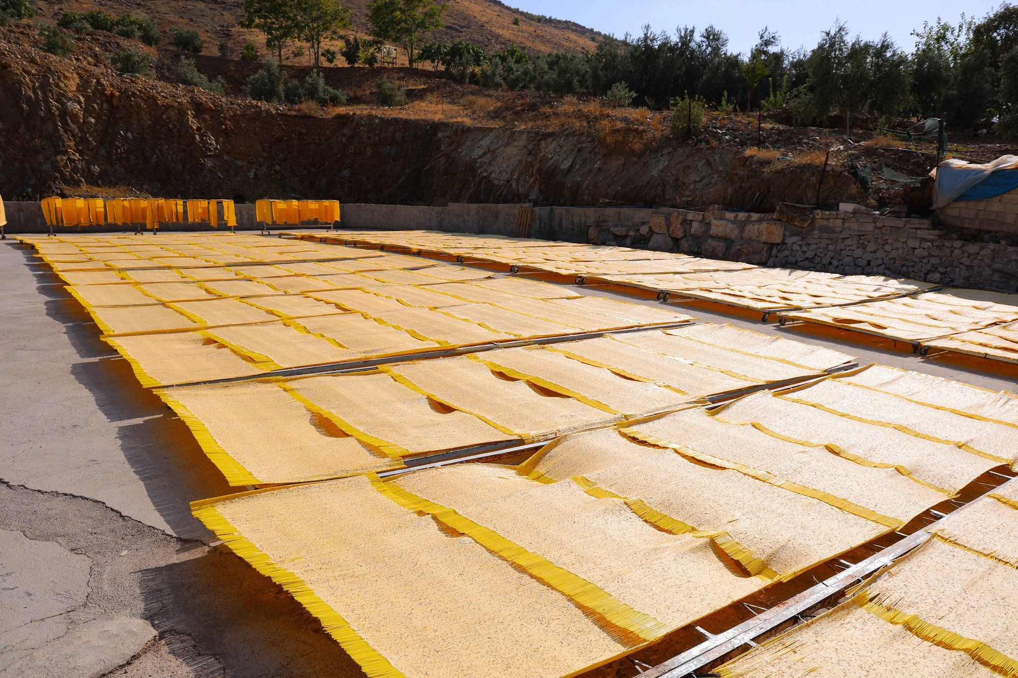 Kahramanmaraş Tarhanasında Sezon Sona Erdi Üretim 3 Bin 650 Ton (6)