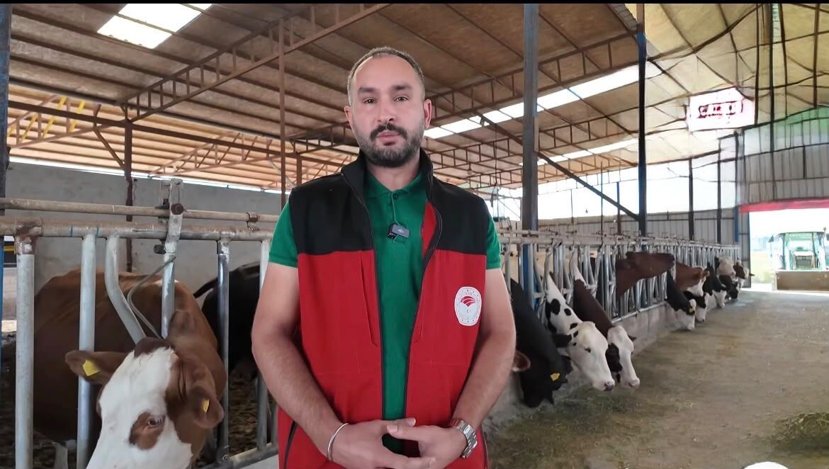 Şap Hastalığına Karşı Uyarı: Hayvanlarda Bu Belirtilere Dikkat!
