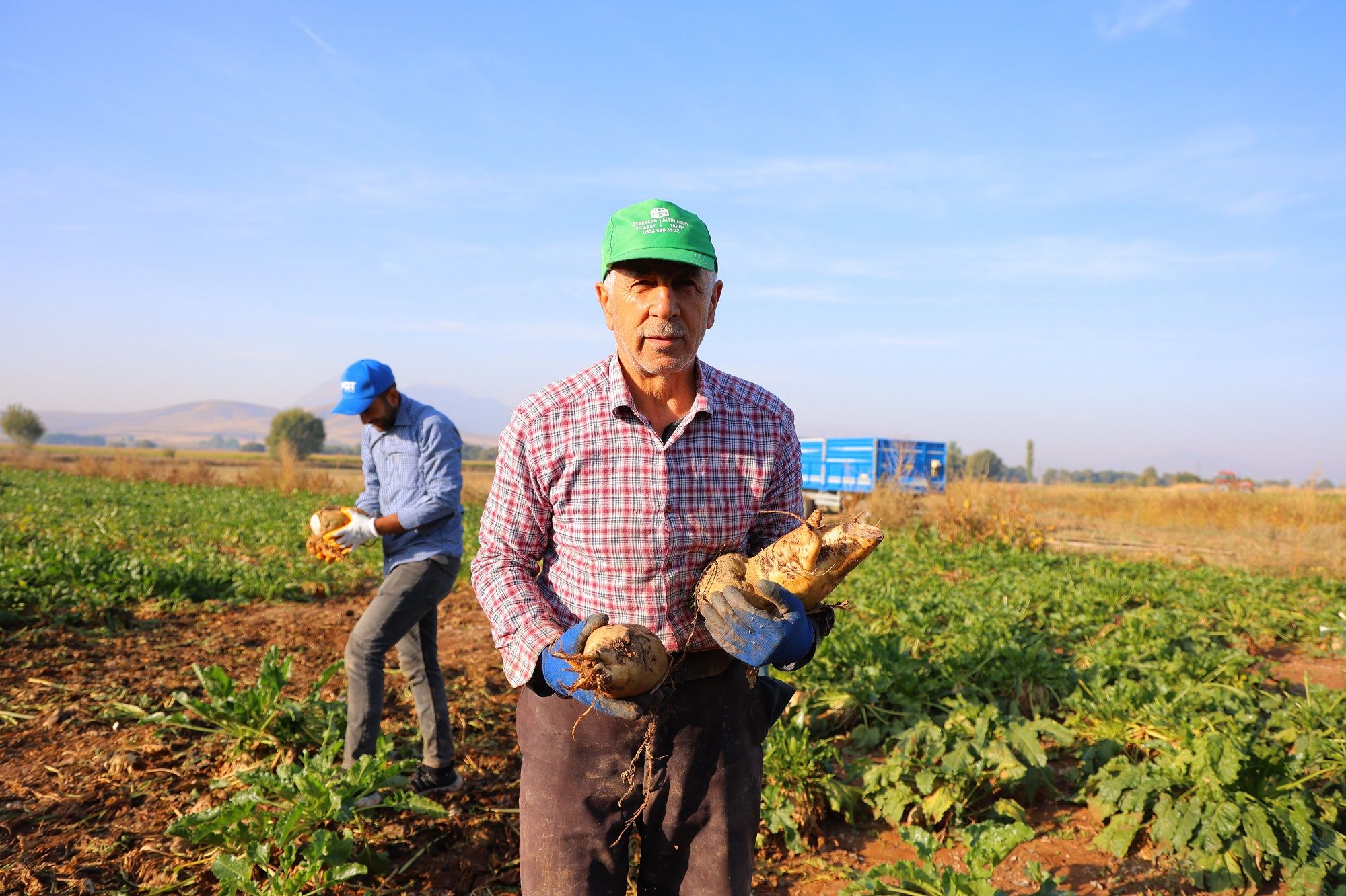 Şeker Pancarı Hasadı Başladı (3)-1